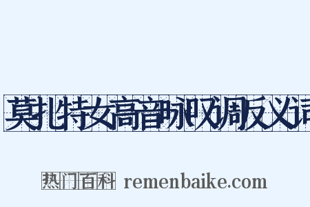 莫扎特女高音咏叹调反义词是什么意思的图片